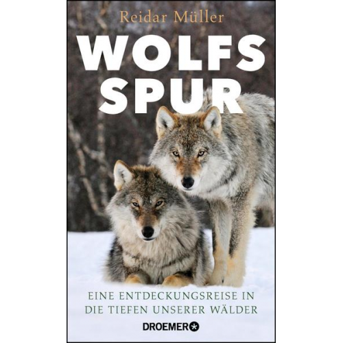 Reidar Müller - Wolfsspur