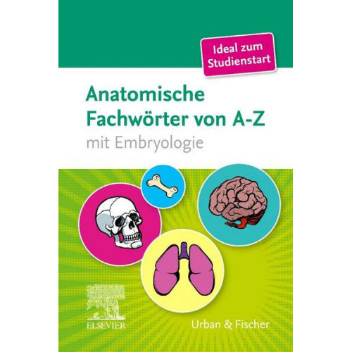 Anatomische Fachwörter von A-Z