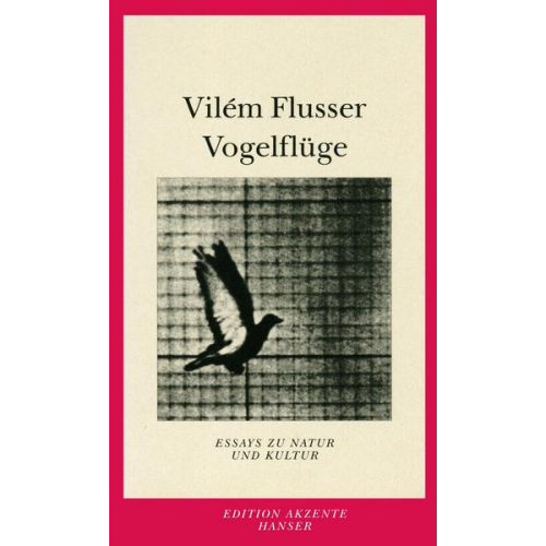 Vilem Flusser - Vogelflüge