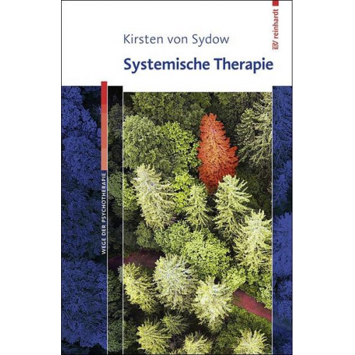 Kirsten Sydow - Systemische Therapie