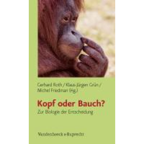 Kopf oder Bauch?