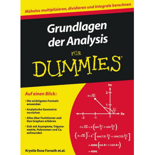 Krystle Rose Forseth & Christopher Burger & Michelle Rose Gilman & Deborah J. Rumsey & Mark Ryan - Grundlagen der Analysis für Dummies