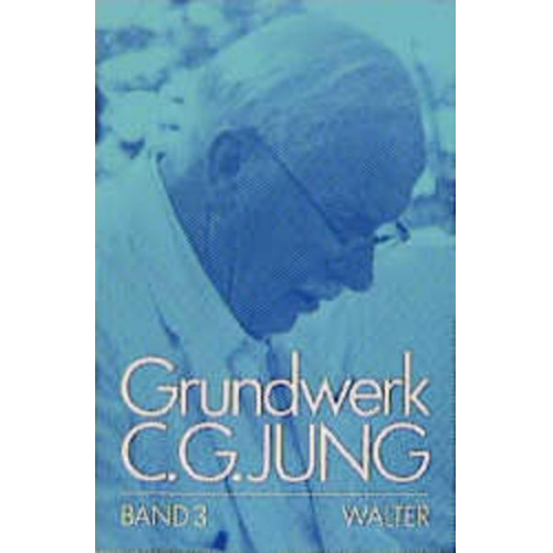 C.G. Jung - C.G.Jung, Grundwerk / Band 3: Persönlichkeit und Übertragung