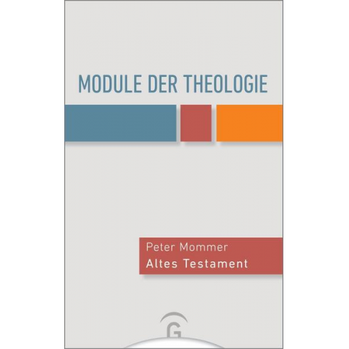 Peter Mommer & Hanna Roose & Klaus Fitschen & Frank Surall & Alexander Deeg - Module der Theologie