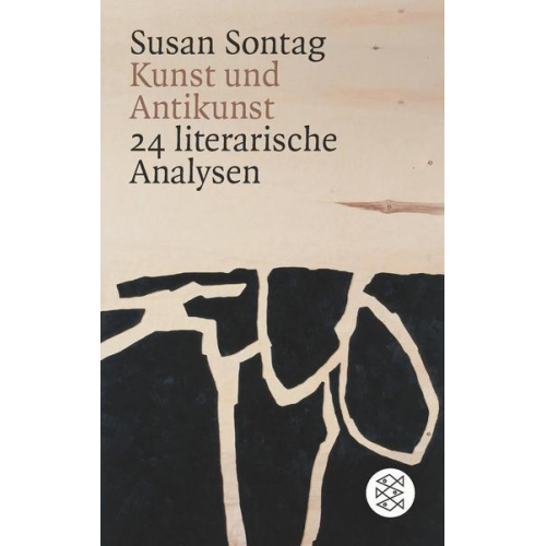 Susan Sontag - Kunst und Antikunst