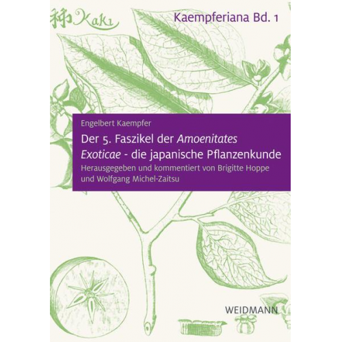 Engelbert Kaempfer - Der 5. Faszikel der 'Amoenitates Exoticae' - die japanische Pflanzenkunde