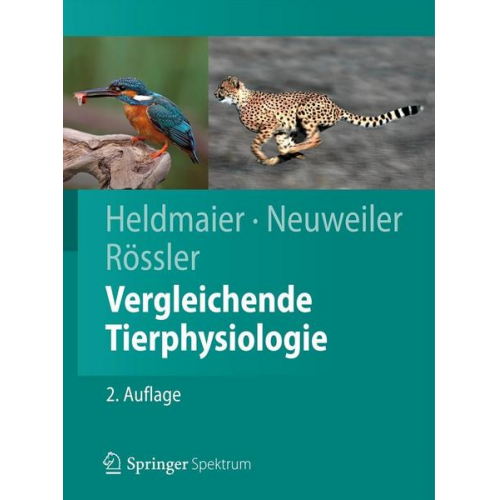 Gerhard Heldmaier & Gerhard Neuweiler & Wolfgang Rössler - Vergleichende Tierphysiologie