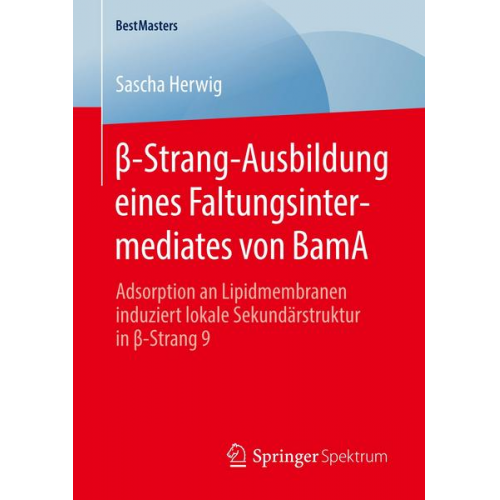 Sascha Herwig - Β-Strang-Ausbildung eines Faltungsintermediates von BamA