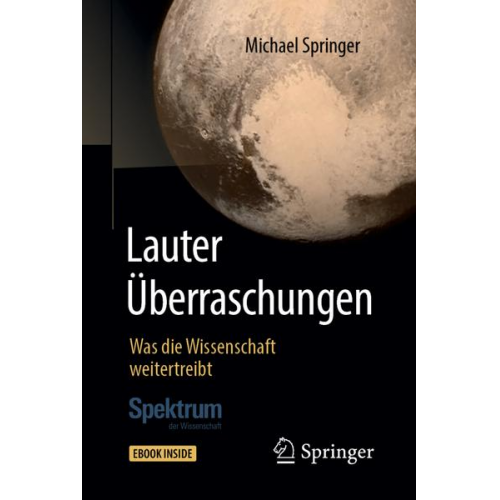 Michael Springer - Lauter Überraschungen