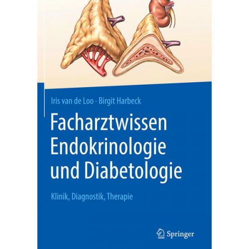 Iris van de Loo & Birgit Harbeck - Facharztwissen Endokrinologie und Diabetologie