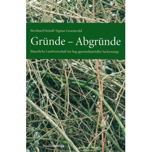 Bernhard Heindl & Sigmar Groeneveld - Gründe - Abgründe