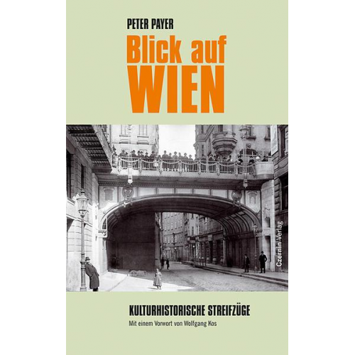 Peter Payer - Blick auf Wien