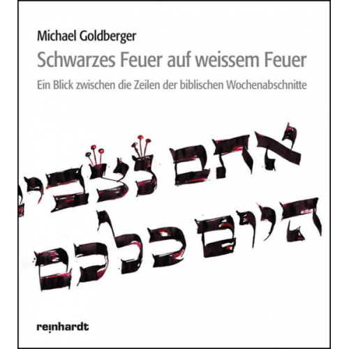 Michael Goldberger - Schwarzes Feuer auf weissem Feuer