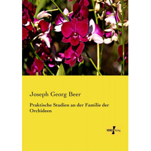 Joseph Georg Beer - Praktische Studien an der Familie der Orchideen