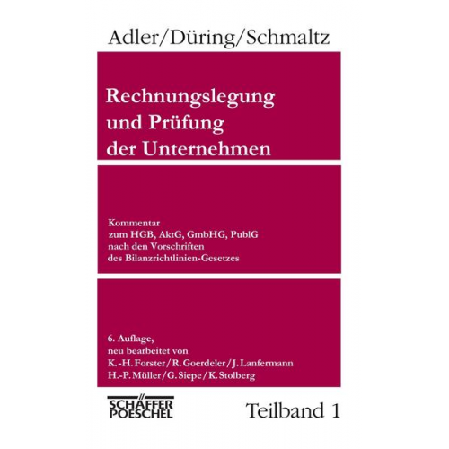 Rechnungslegung und Prüfung der Unternehmen (Gesamtausgabe) / Rechnungslegung und Prüfung der Unternehmen Teilband 1