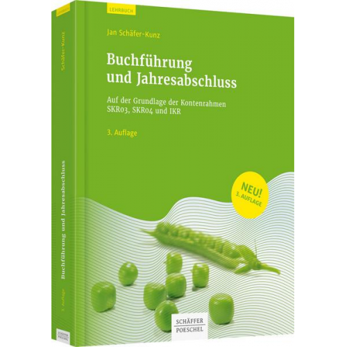 Jan Schäfer-Kunz - Buchführung und Jahresabschluss