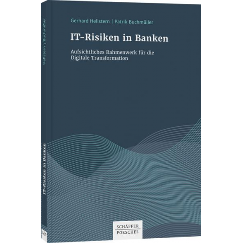 Gerhard Hellstern & Patrik Buchmüller - IT-Risiken in Banken