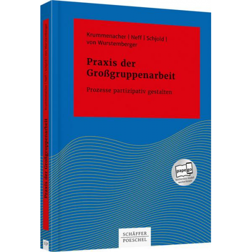 Paul Krummenacher & Petra Neff & Inger Schjold & Britta Wurstemberger - Praxis der Großgruppenarbeit