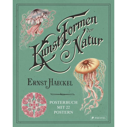 Kira Uthoff - Ernst Haeckel: Kunstformen der Natur. Posterbuch mit 22 Postern