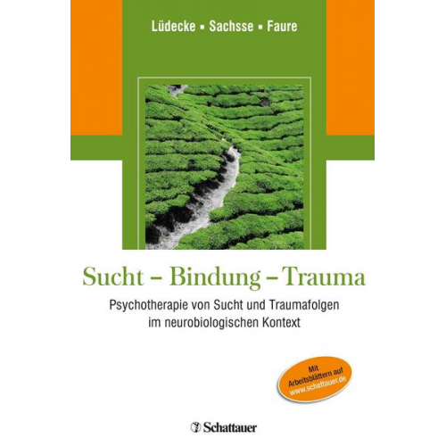 Christel Lüdecke & Ulrich Sachsse & Hendrik Faure - Sucht - Bindung - Trauma