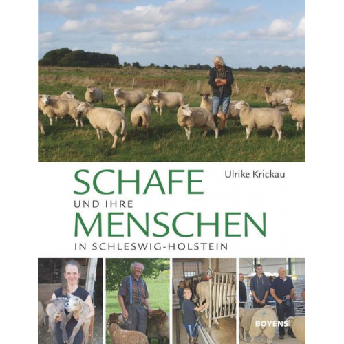 Ulrike Krickau - Schafe und ihre Menschen in Schleswig-Holstein