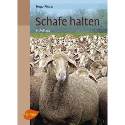 Hugo Rieder - Schafe halten