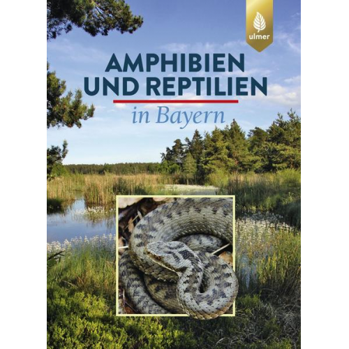 Eberhard Andrä & Otto Assmann & Thomas Dürst & Günter Hansbauer & Andreas Zahn - Amphibien und Reptilien in Bayern