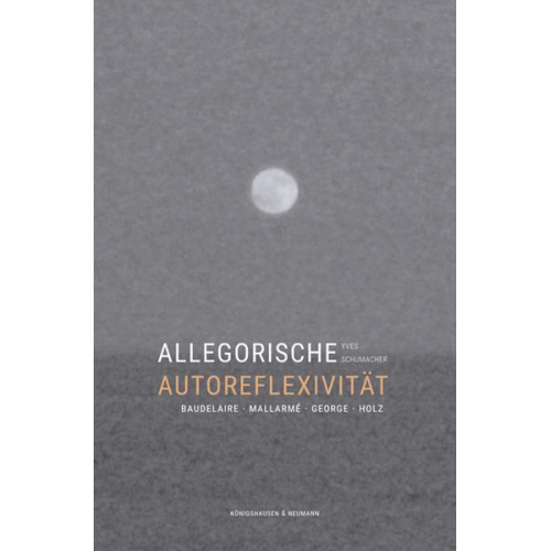 Yves Schumacher - Allegorische Autoreflexivität