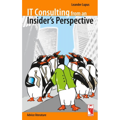 Leander Lupus - IT Consulting from an Insider's Perspective