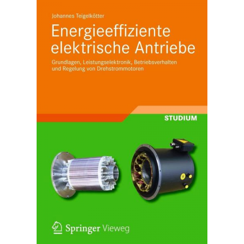 Johannes Teigelkötter - Energieeffiziente elektrische Antriebe