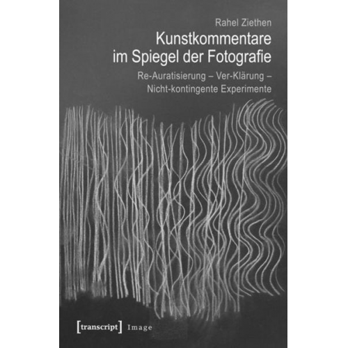 Rahel Ziethen - Kunstkommentare im Spiegel der Fotografie