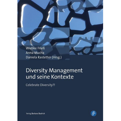 Diversity Management und seine Kontexte