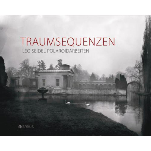 Leo Seidel - Traumsequenzen