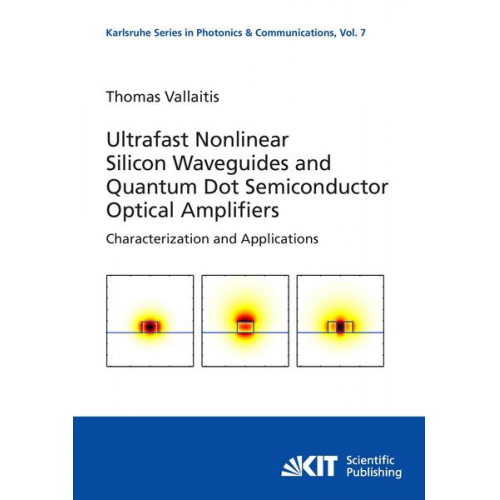 Thomas Vallaitis - Ultrafast nonlinear silicon waveguides and quantum dot semiconductor optical amplifiers