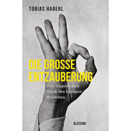 Tobias Haberl - Die große Entzauberung