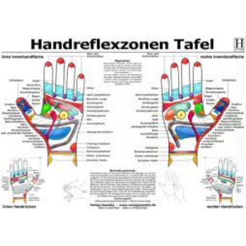 Handreflexzonen Tafel - A3 (laminiert)