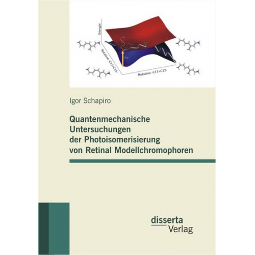 Igor Schapiro - Quantenmechanische Untersuchungen der Photoisomerisierung von Retinal Modellchromophoren