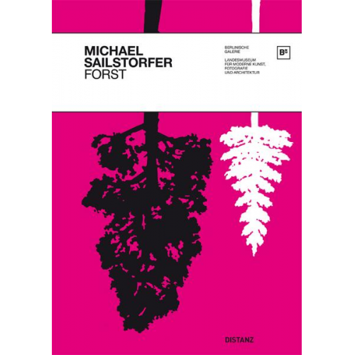 Michael Sailstorfer - Michael Sailstorfer