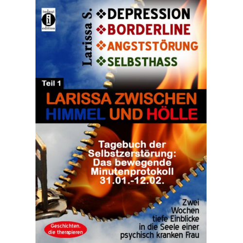 Larissa S. - DEPRESSION - BORDERLINE - ANGSTSTÖRUNG - SELBSTHASS Teil 1: Larissa zwischen Himmel und Hölle - Tagebuch der Selbstzerstörung