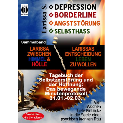 Larissa S. - S., L: Depression - Borderline - Angststörung - Selbsthasssa