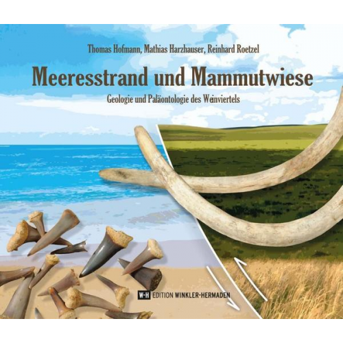 Thomas Hofmann & Mathias Harzhauser & Reinhard Roetzel - Meeresstrand und Mammutwiese