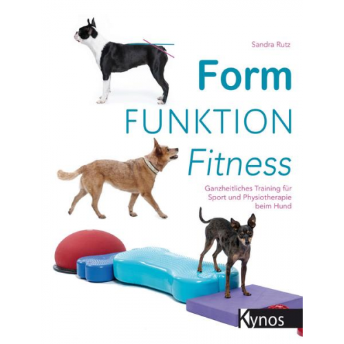 Sandra Rutz - Form Funktion Fitness