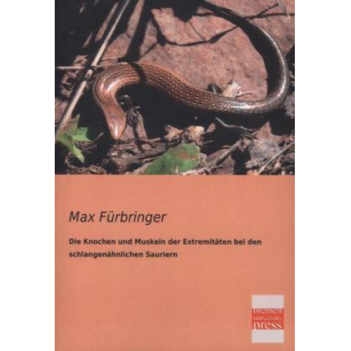 Max Fürbringer - Die Knochen und Muskeln der Extremitäten bei den schlangenähnlichen Sauriern