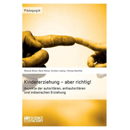 Melanie Bilzer & Michael Ramon Jung & Kirsten Ludwig & Thomas Rachfall - Kindererziehung – aber richtig! Aspekte der autoritären, antiautoritären und indianischen Erziehung