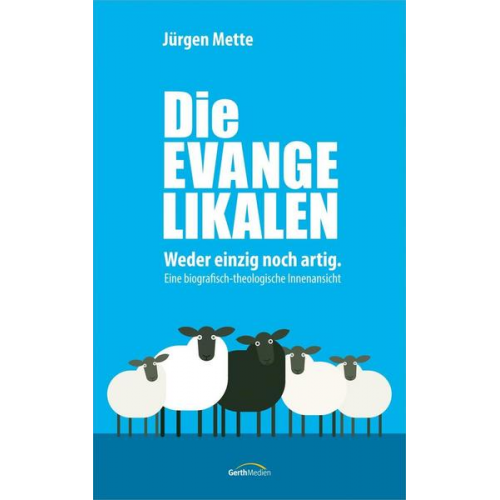 Jürgen Mette - Die Evangelikalen