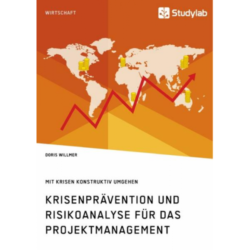 Doris Willmer - Krisenprävention und Risikoanalyse für das Projektmanagement. Mit Krisen konstruktiv umgehen