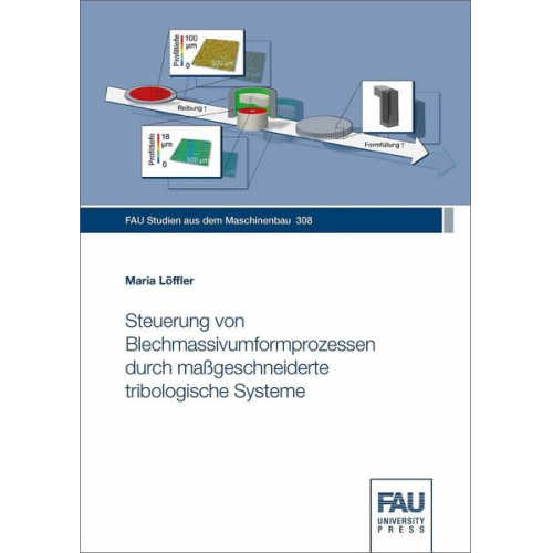 Maria Löffler - Steuerung von Blechmassivumformprozessen durch maßgeschneiderte tribologische Systeme