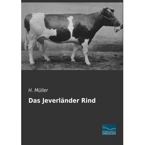 H. Müller - Müller, H: Jeverländer Rind