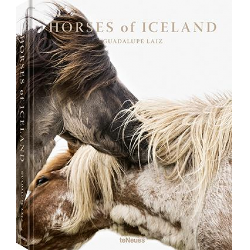 Guadalupe Laiz - Horses of Iceland