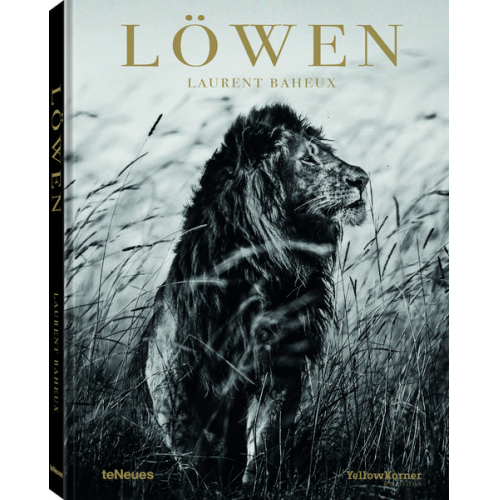 Laurent Baheux - Löwen